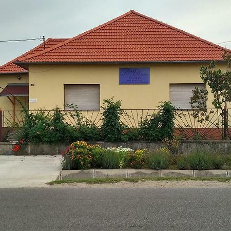 Abigel Apartman Morahalom Bagian luar foto